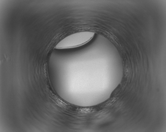 X0000058100473200509230759