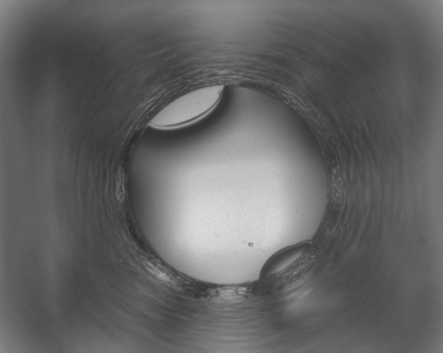 X0000058100474200509230759