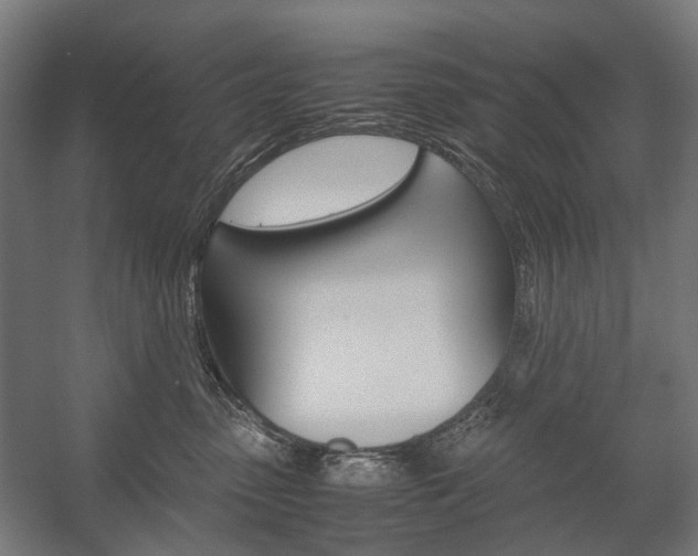 X0000058100475200509230759