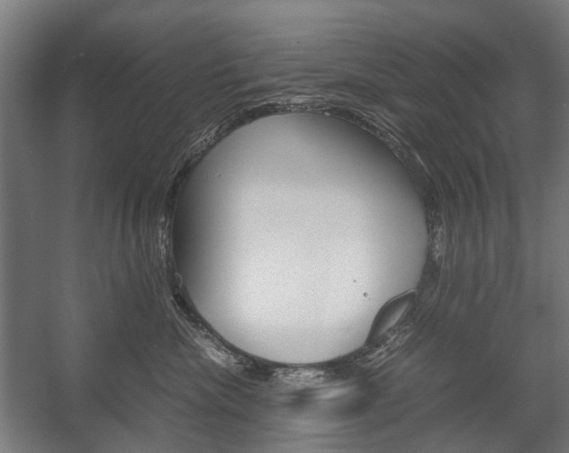 X0000058100476200509230759