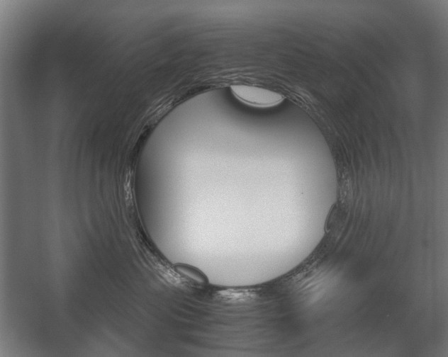 X0000058100477200509230759