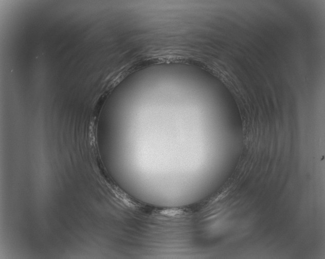 X0000058100478200509230759