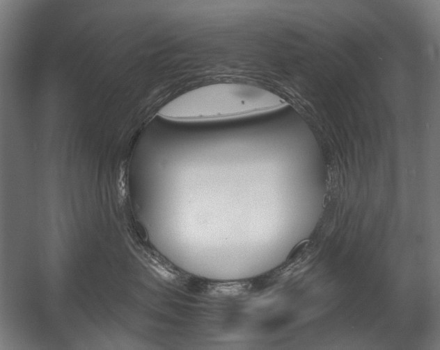 X0000058100479200509230759