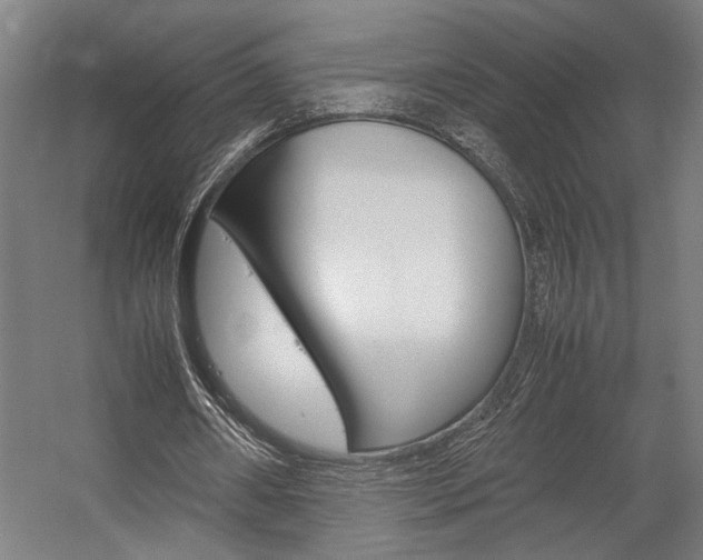 X0000058100482200509230758