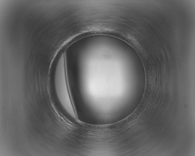 X0000058100488200509230758