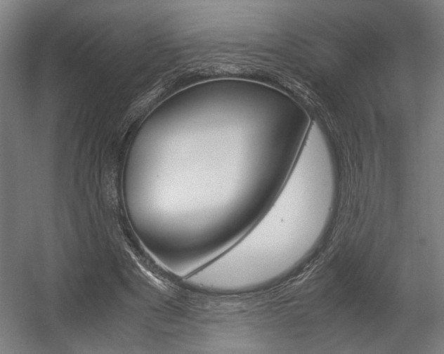 X0000058100489200509230758
