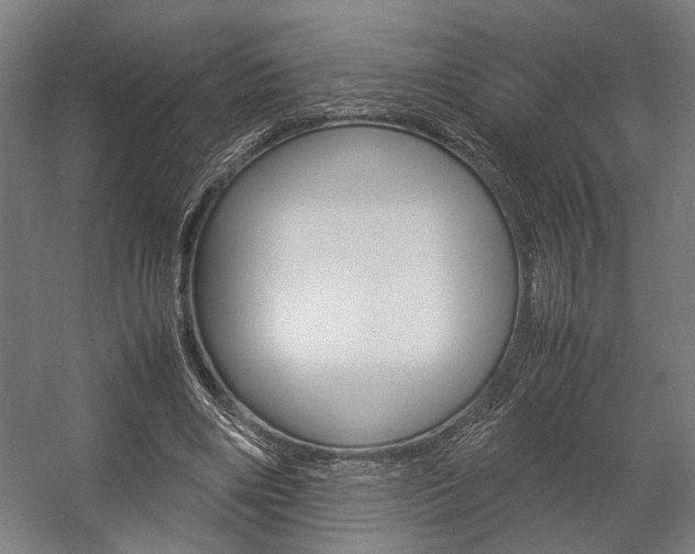X0000058100490200509230758