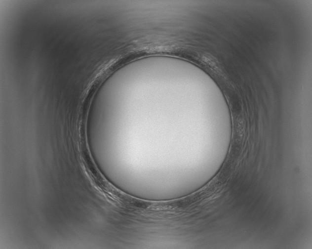 X0000058100491200509230758