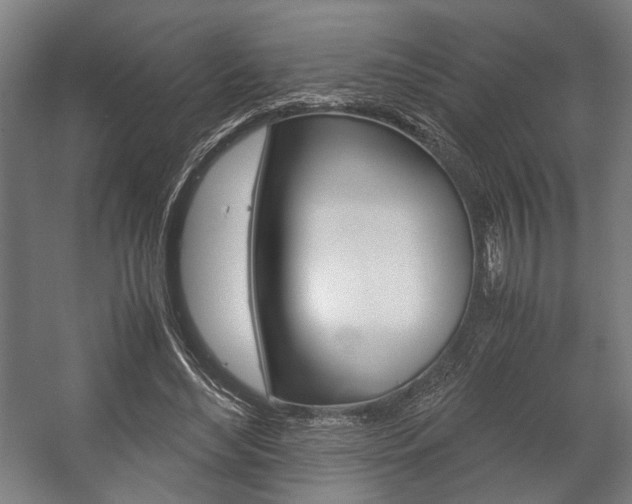 X0000058100492200509230758