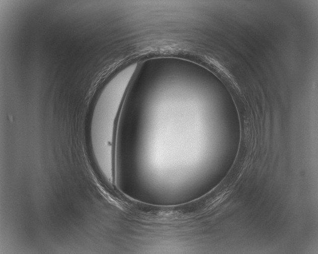 X0000058100493200509230758