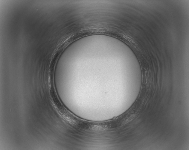 X0000058100494200509230758