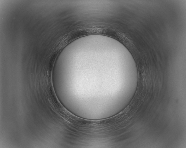 X0000058100498200509230758