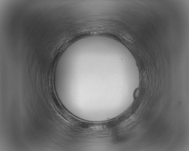 X0000058100499200509230758