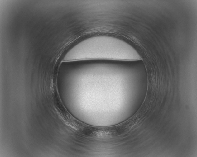 X0000058100500200509230758
