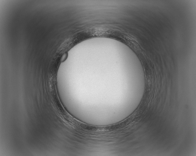 X0000058100503200509230758