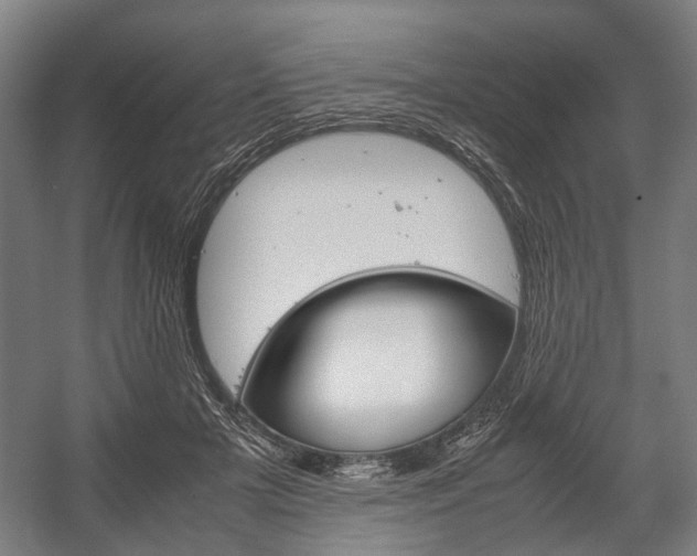 X0000058100505200509230757
