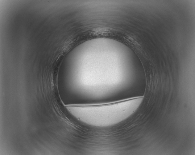 X0000058100508200509230757