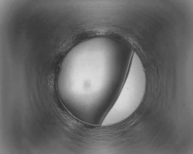 X0000058100509200509230757