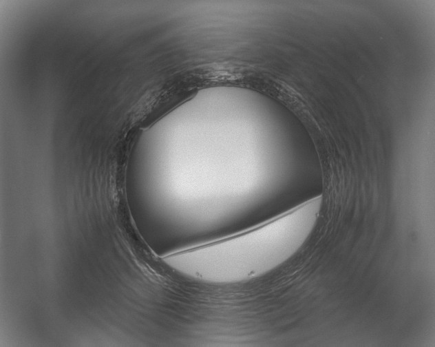 X0000058100512200509230757