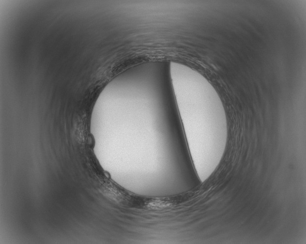 X0000058100515200509230757