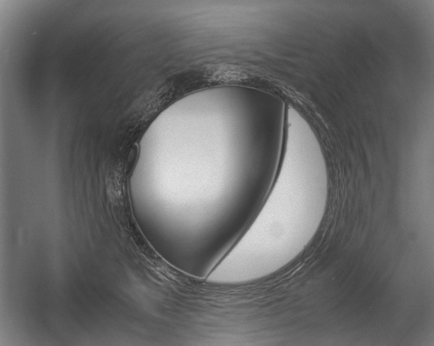 X0000058100517200509230757