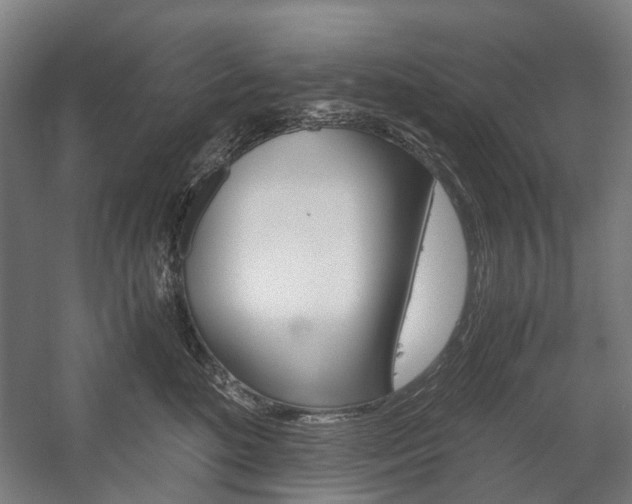 X0000058100520200509230757
