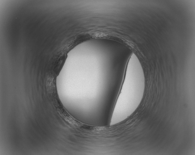 X0000058100521200509230757