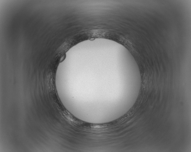 X0000058100522200509230757