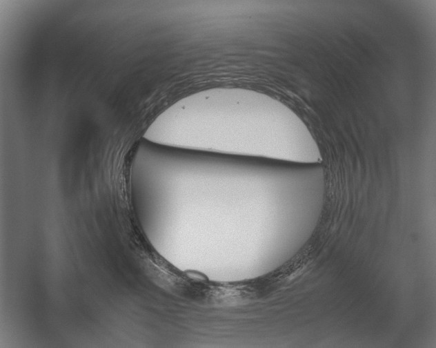 X0000058100523200509230757