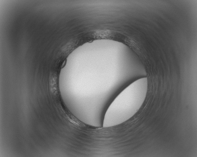 X0000058100526200509230757