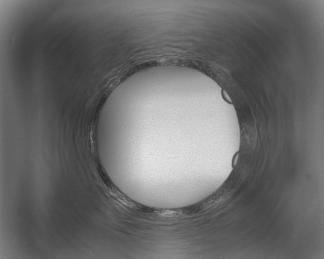X0000058100527200509230757