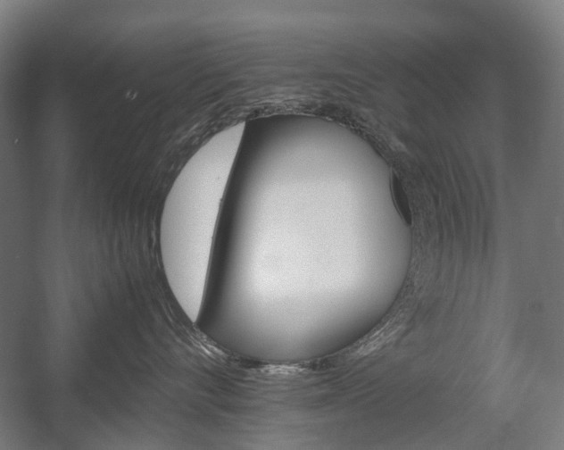 X0000058100528200509230757