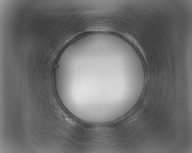 X0000058100529200509230756