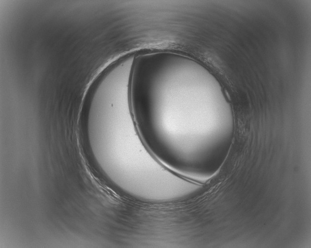 X0000058100532200509230756