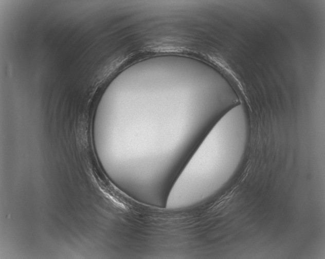 X0000058100533200509230756