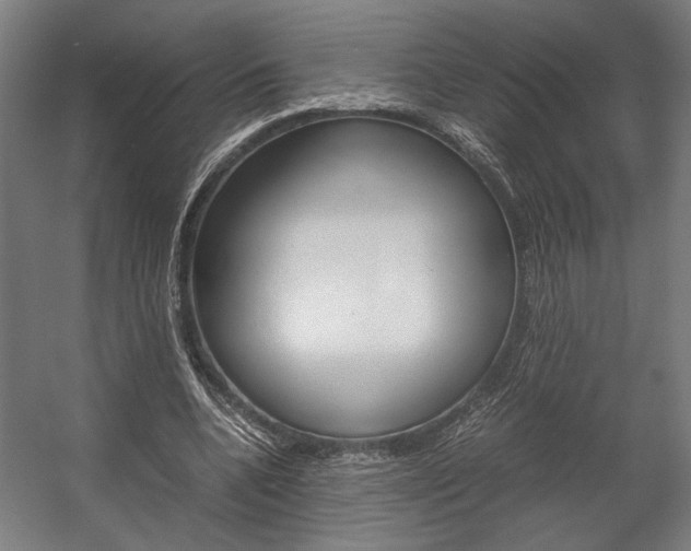 X0000058100536200509230756