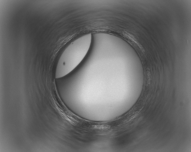 X0000058100541200509230756