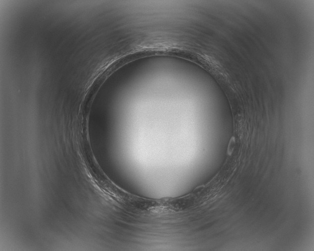 X0000058100544200509230757
