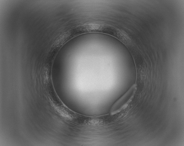 X0000058100546200509230757