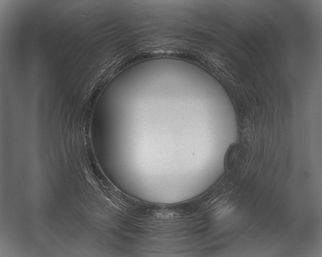 X0000058100547200509230757