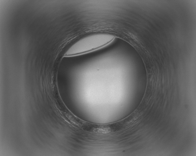 X0000058100548200509230757