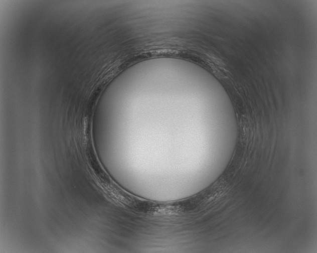X0000058100550200509230757