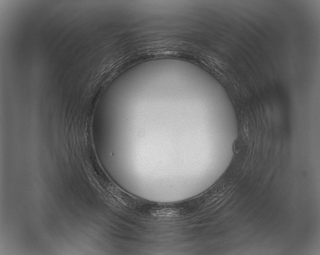 X0000058100551200509230757