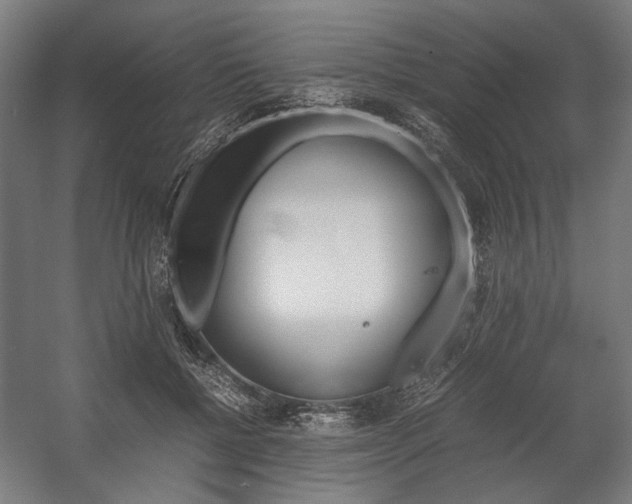 X0000058100552200509230757