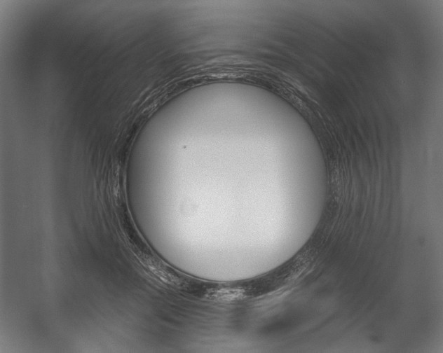 X0000058100554200509230757