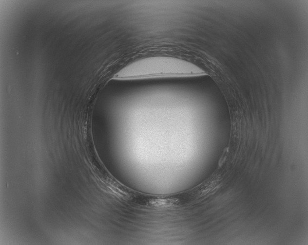 X0000058100558200509230757