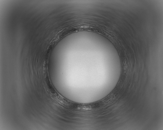 X0000058100559200509230757