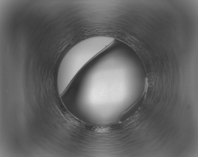 X0000058100560200509230757