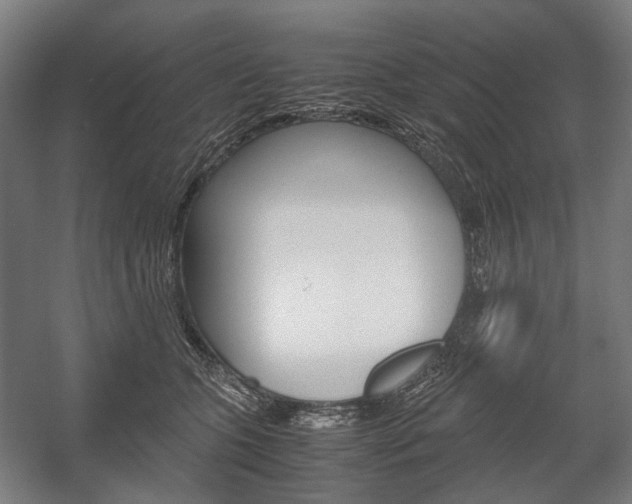X0000058100563200509230757