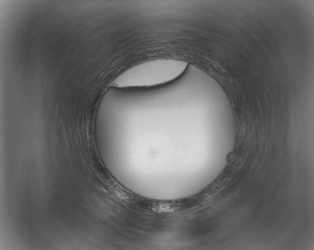 X0000058100565200509230757
